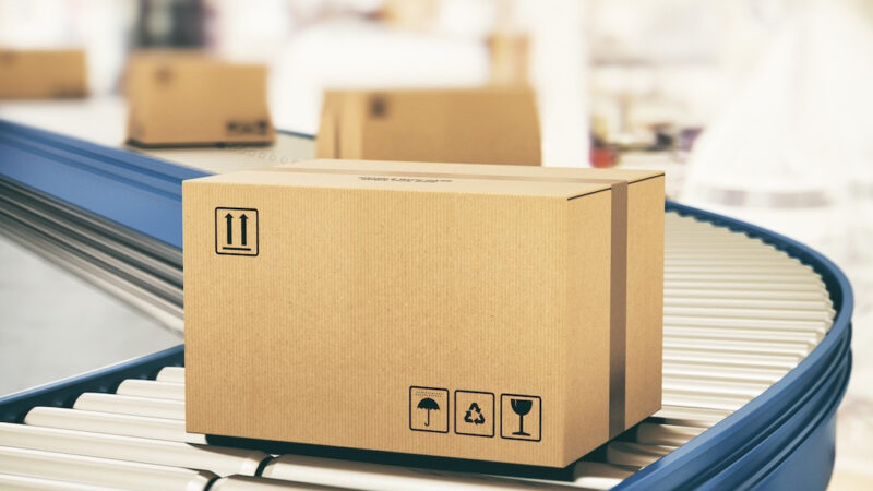 ¿Para qué sirve un transportador de rodillos para cajas y cómo funciona?