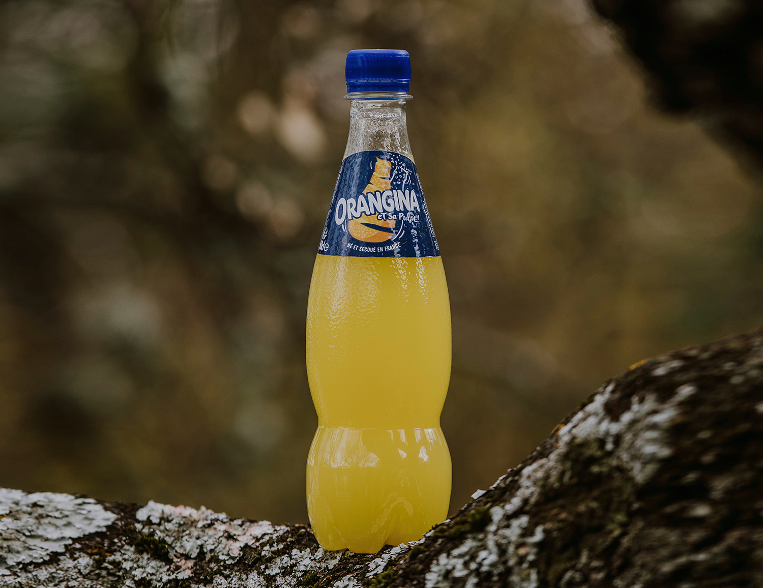 Suntory lanza su primera botella PET 100 % vegetal