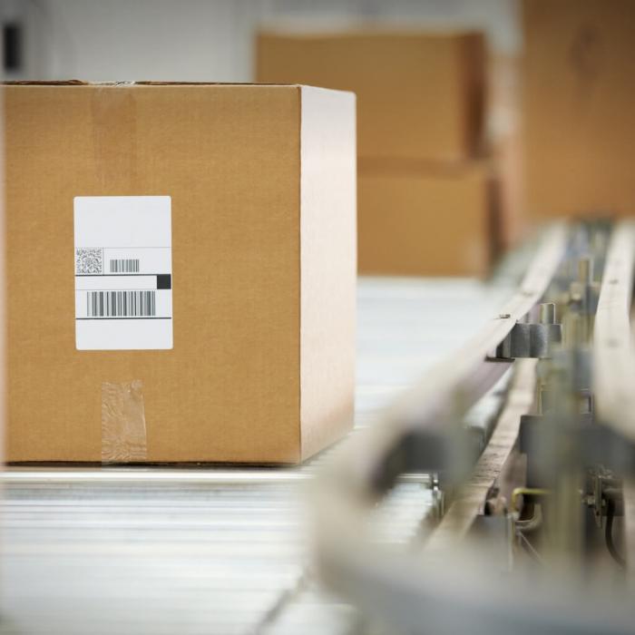 ¿En qué consiste un transportador de rodillos por gravedad?, usos y características.