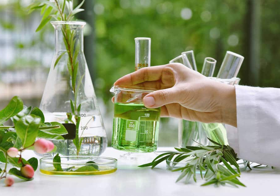 Henkel presenta su nueva gama Perlan Renueva, los detergentes de origen natural con los que apostar por la sostenibilidad.