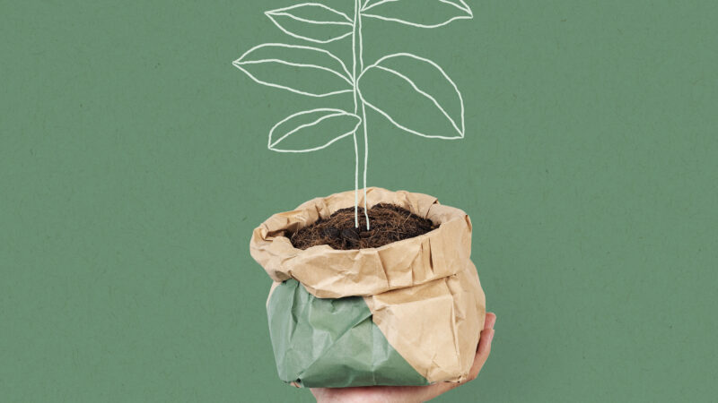Tendencias del packaging para 2023