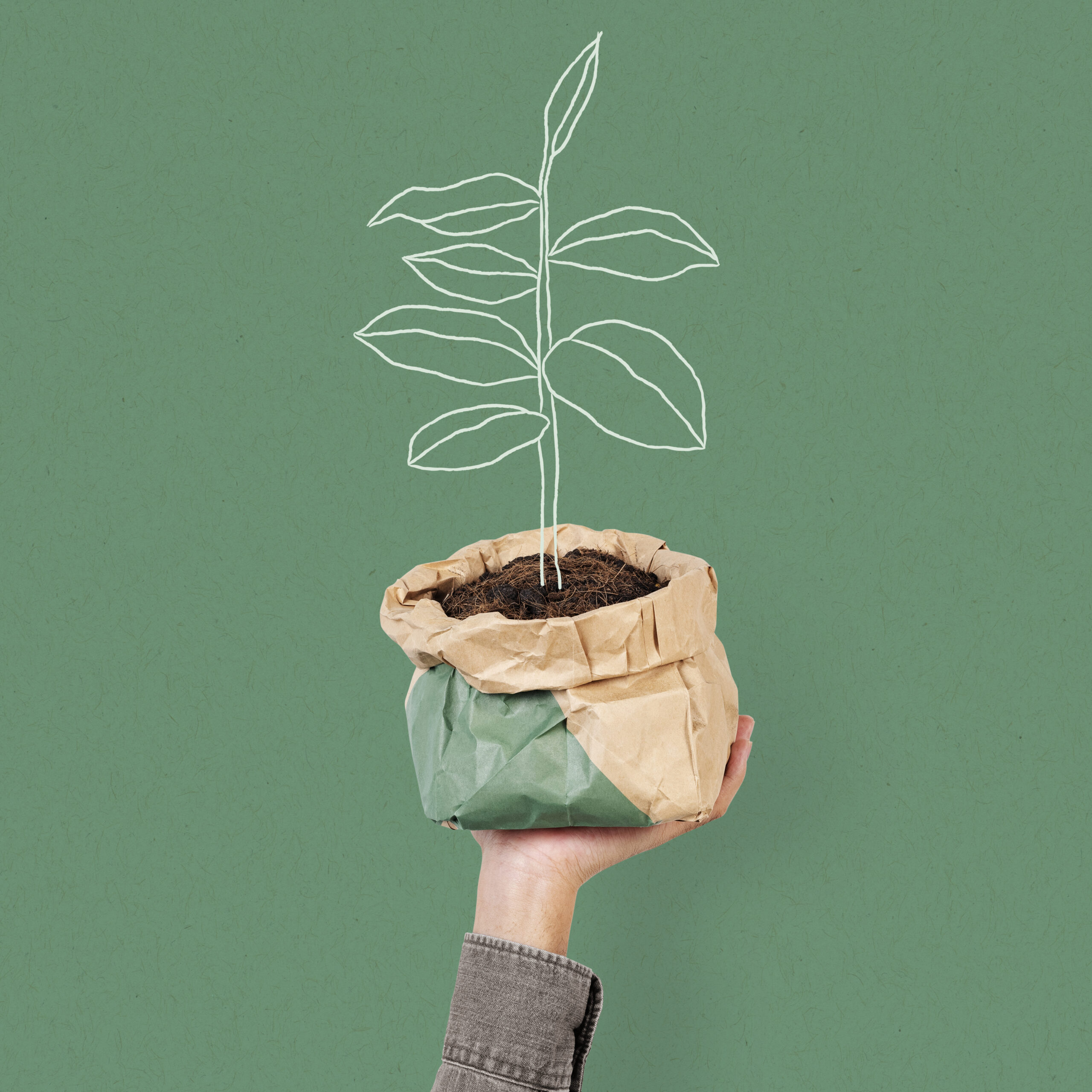 Tendencias del packaging para 2023