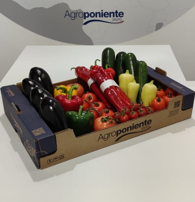 Agroponiente lanza sus nuevos envases 100% reciclables y sostenibles